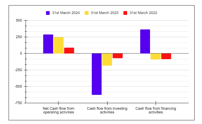 Cash Flow Statement of Blue Star