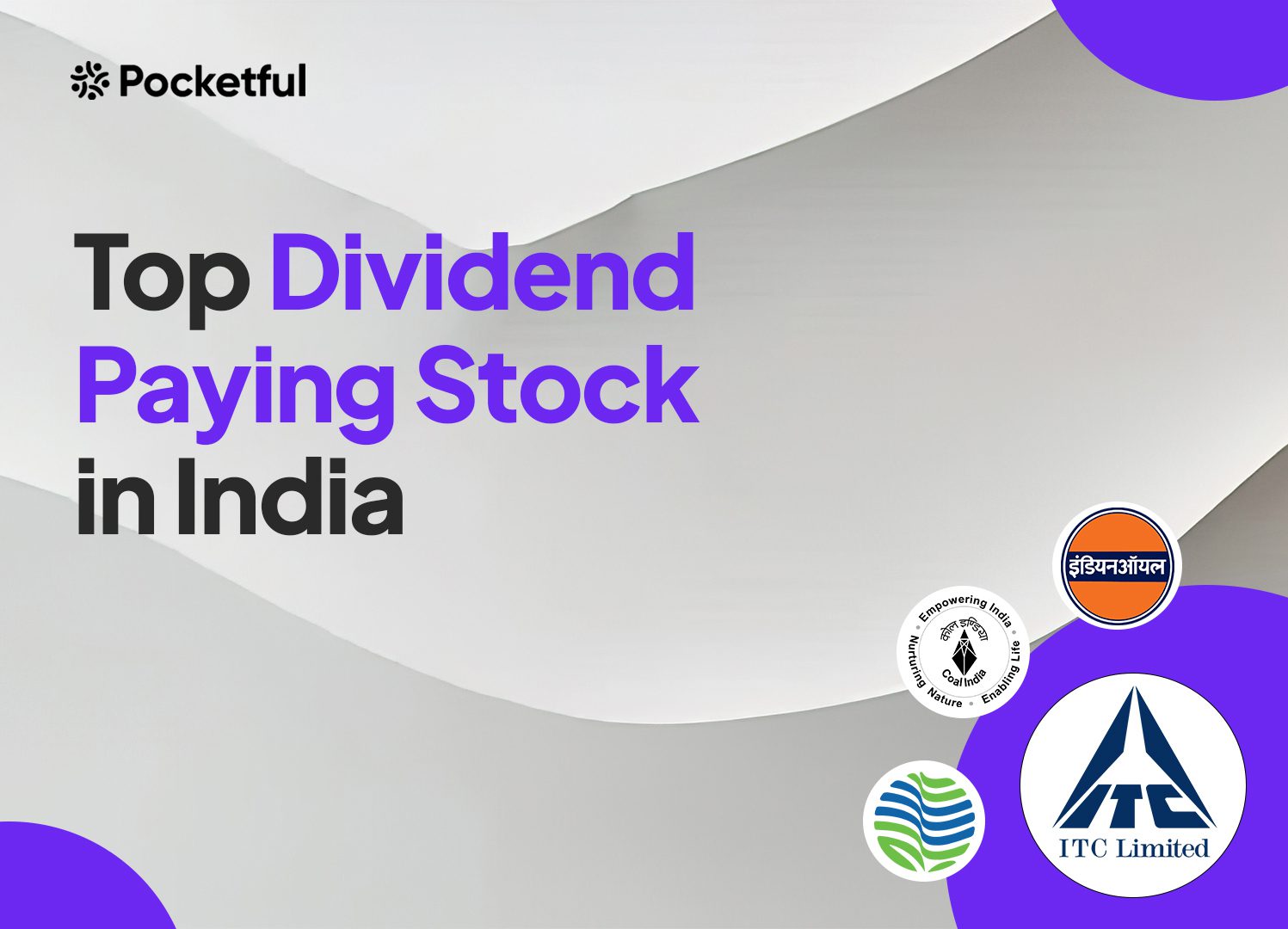 Top 5 Highest Dividend Paying Stocks in India