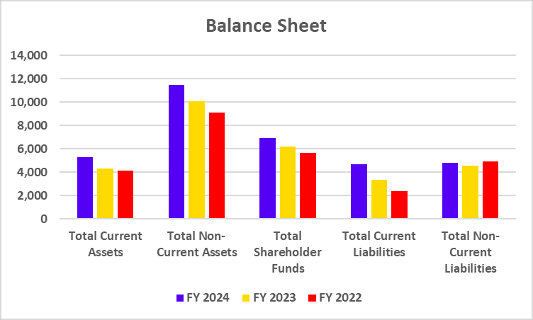 Balance Sheet of Apollo Hospitals