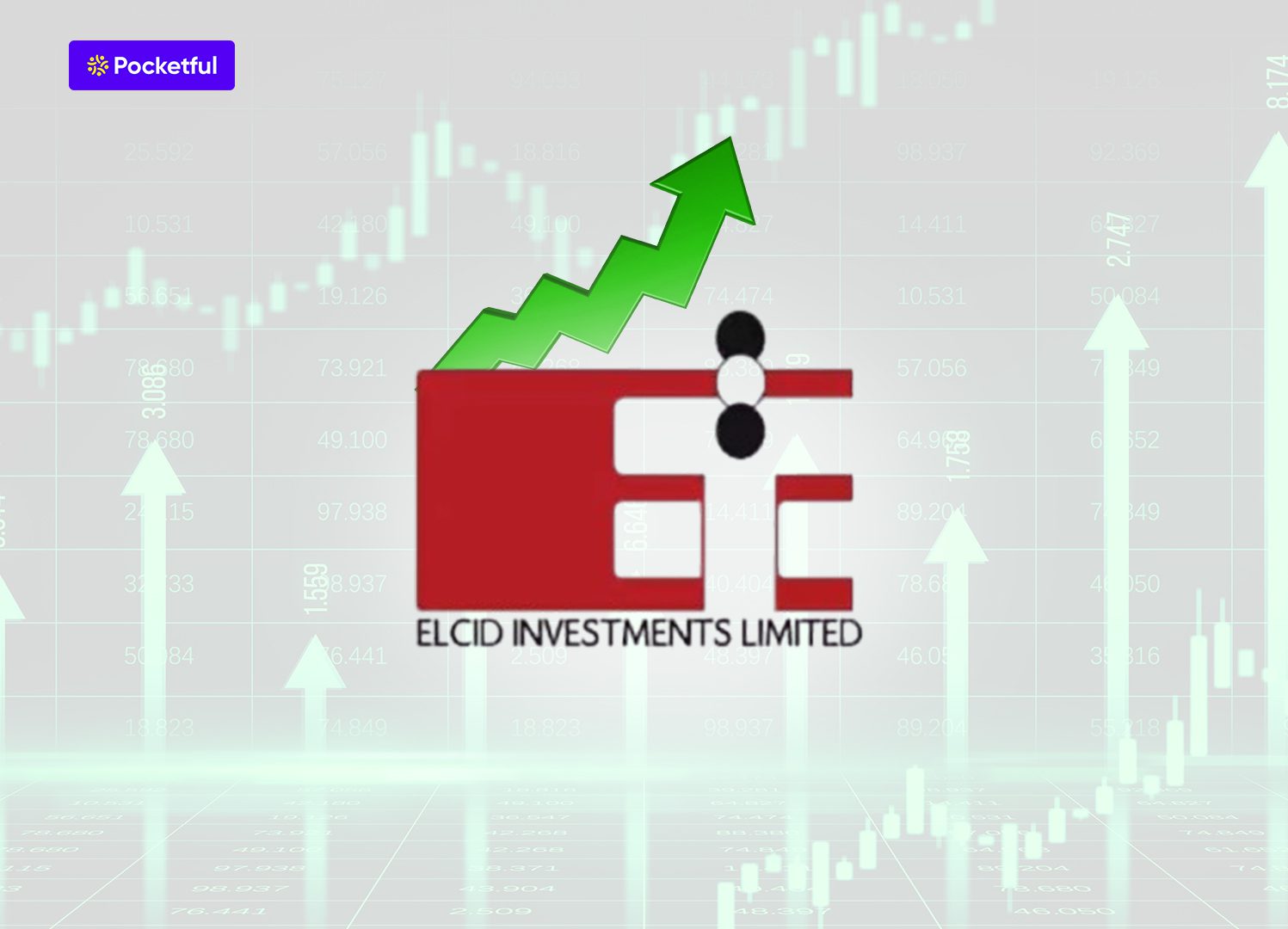 Elcid Investments – India’s Costliest Stock: From INR 3 to INR 2,36,250 – Share Price History