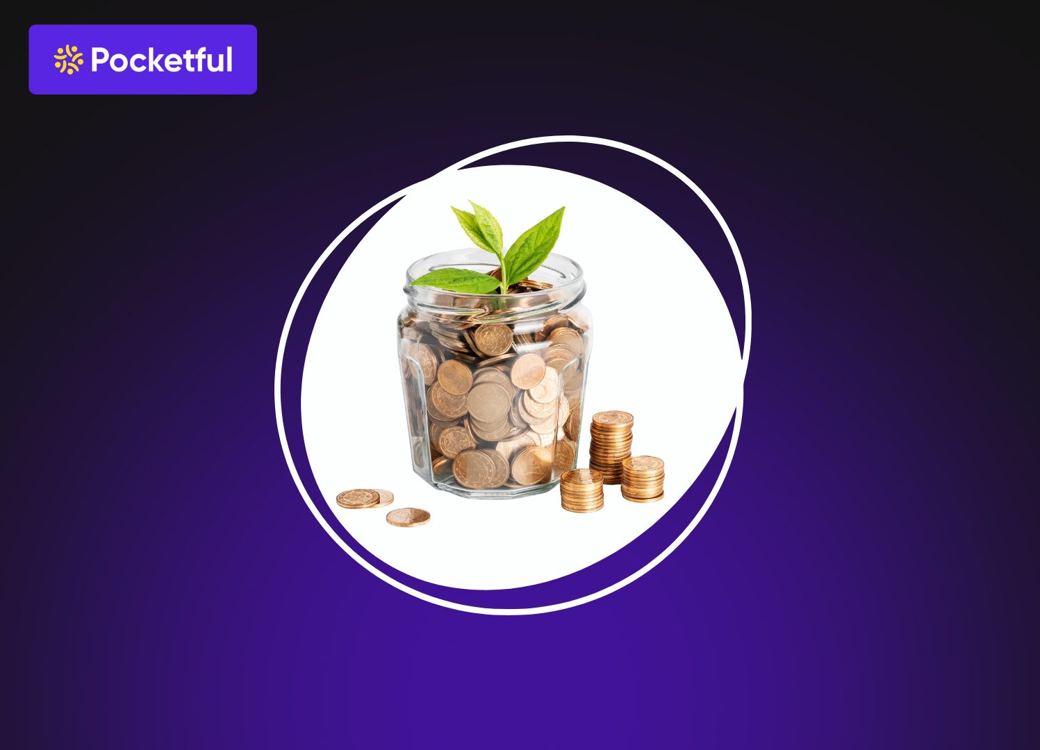 Non Convertible Debentures